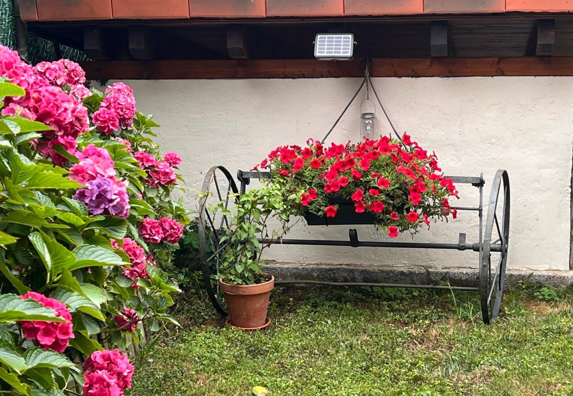 Casa Rural Casa Cerezal Onís Εξωτερικό φωτογραφία