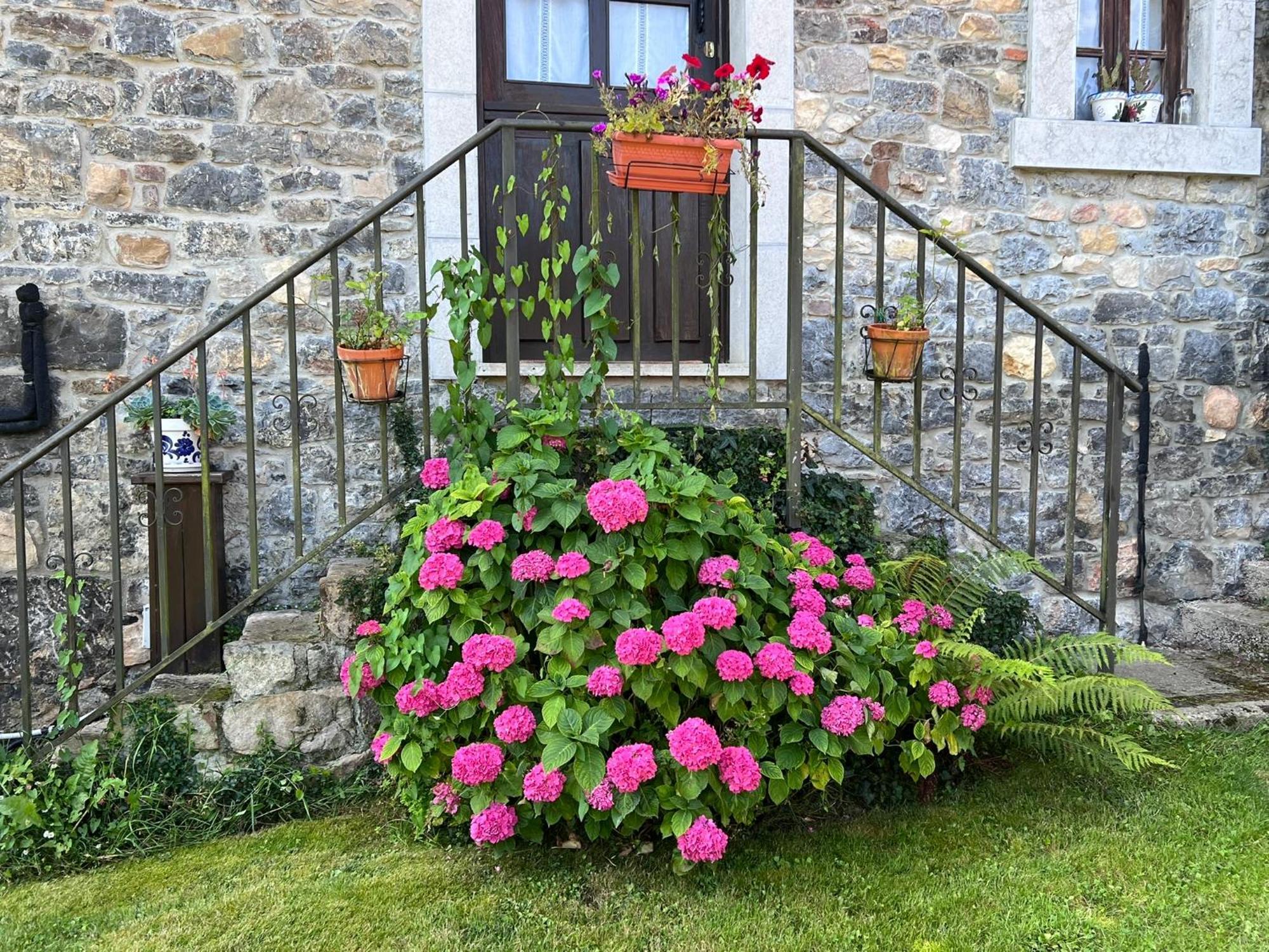 Casa Rural Casa Cerezal Onís Εξωτερικό φωτογραφία
